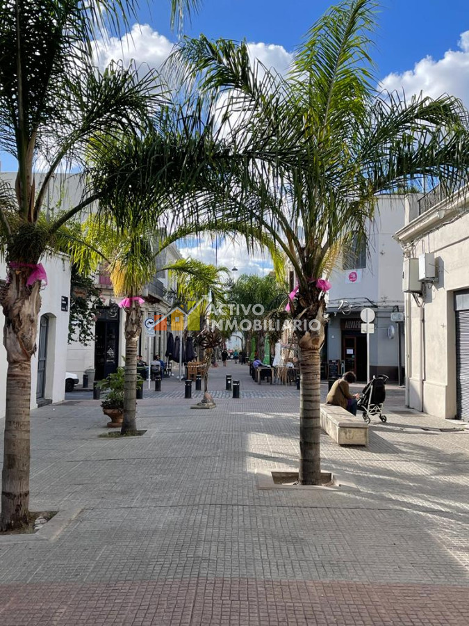Casa ID.72 - Venta co-living 6 dormitorios + azotea transitable - Ciudad Vieja 