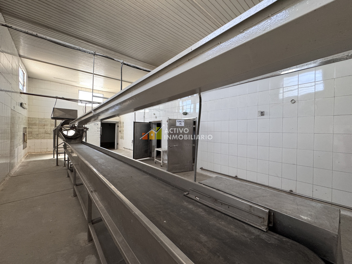 Galpón ID.353 - Venta local logístico industrial frigorífico 906mts de terreno - Maroñas