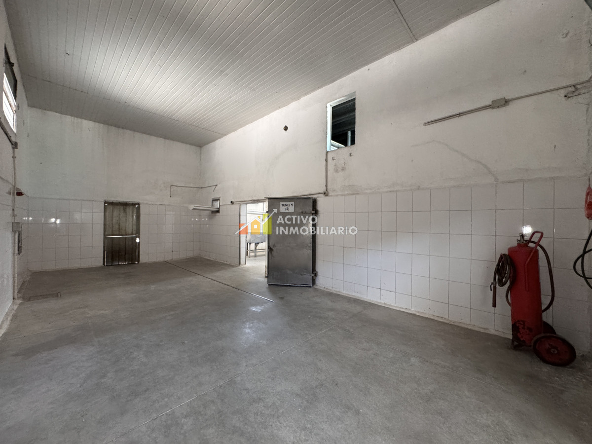 Galpón ID.353 - Venta local logístico industrial frigorífico 906mts de terreno - Maroñas