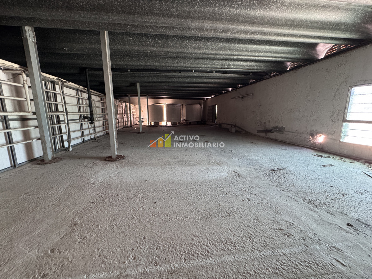 Galpón ID.353 - Venta local logístico industrial frigorífico 906mts de terreno - Maroñas
