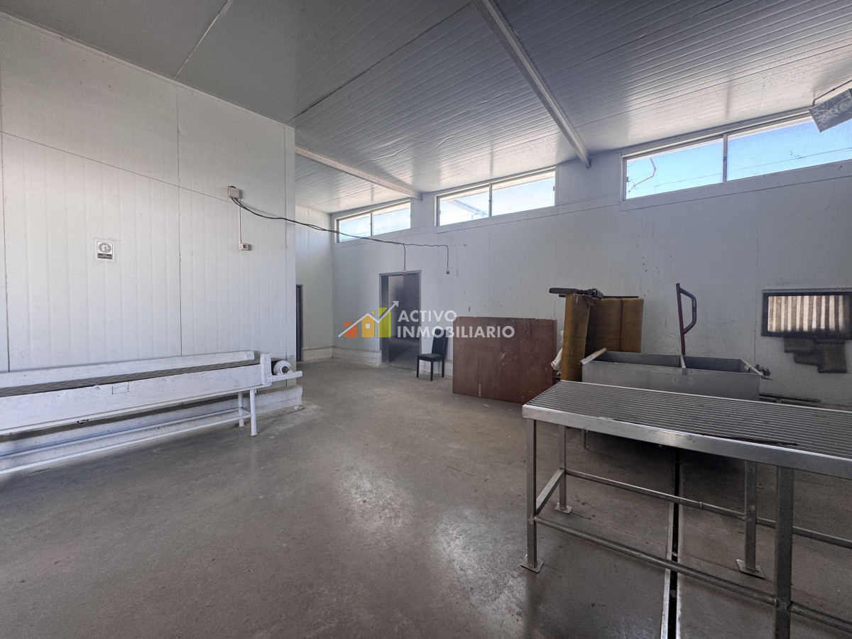 Galpón ID.353 - Venta local logístico industrial frigorífico 906mts de terreno - Maroñas
