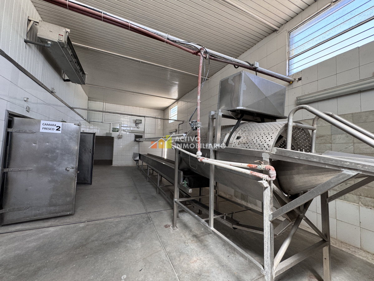 Galpón ID.353 - Venta local logístico industrial frigorífico 906mts de terreno - Maroñas