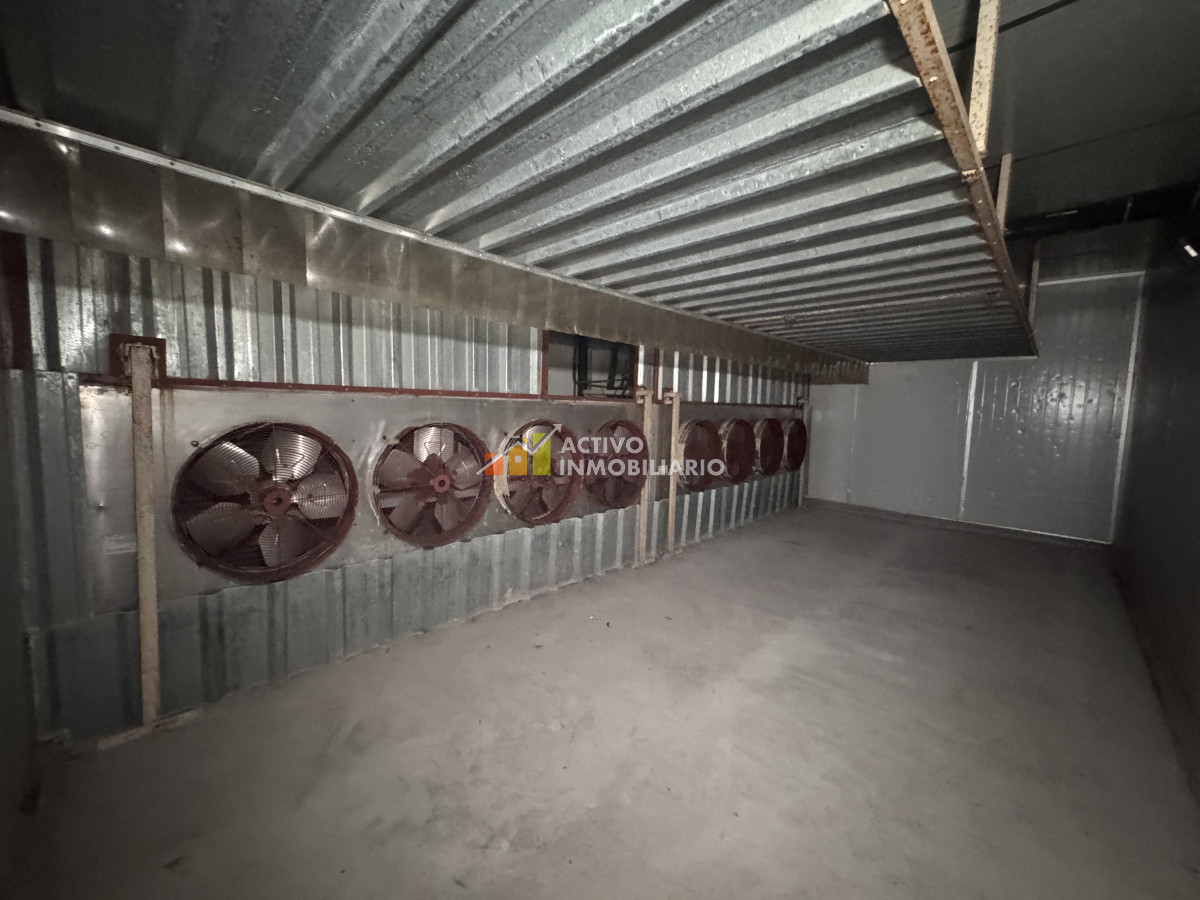 Galpón ID.353 - Venta local logístico industrial frigorífico 906mts de terreno - Maroñas