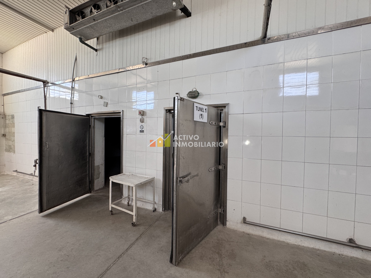 Galpón ID.353 - Venta local logístico industrial frigorífico 906mts de terreno - Maroñas