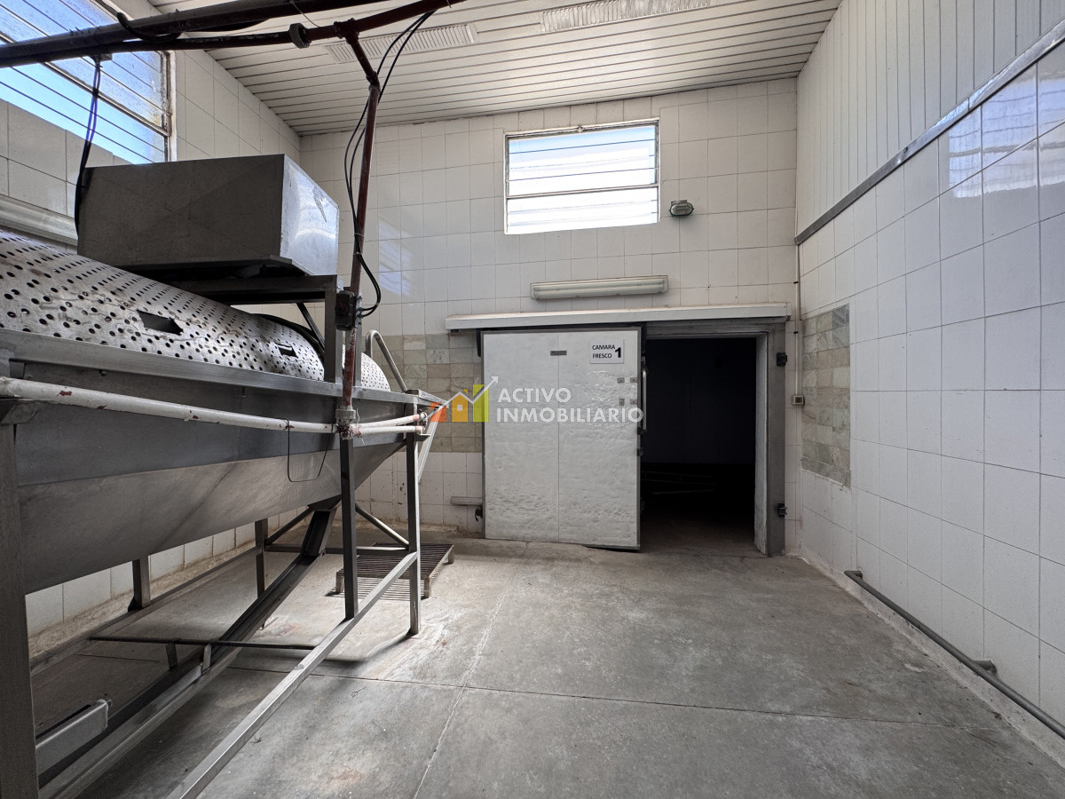 Galpón ID.353 - Venta local logístico industrial frigorífico 906mts de terreno - Maroñas