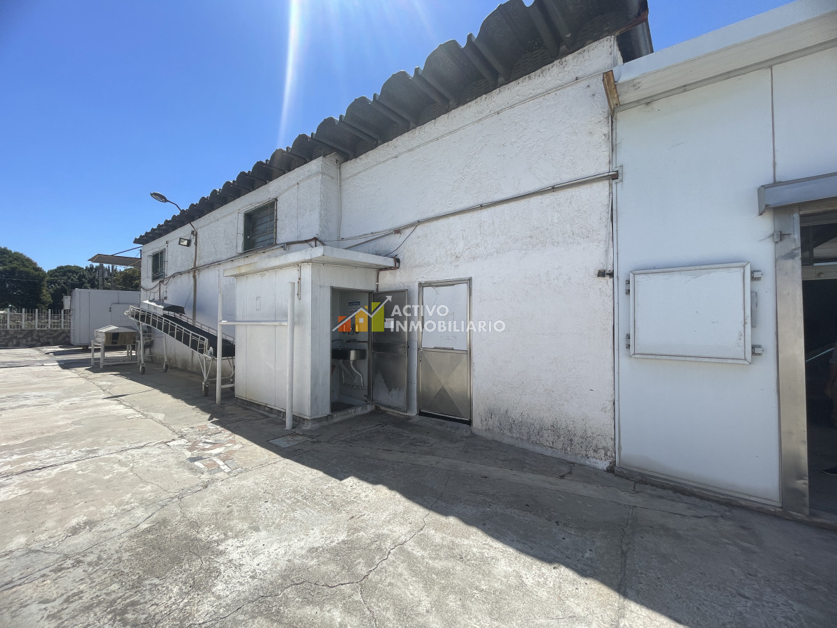 Galpón ID.353 - Venta local logístico industrial frigorífico 906mts de terreno - Maroñas