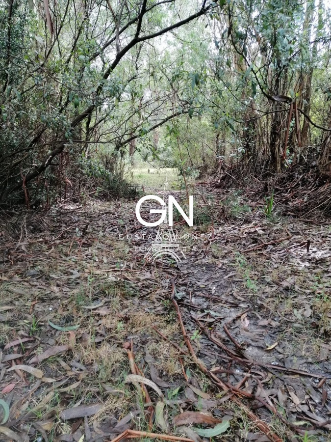 Chacra ID.3888 - Oportunidad de inversion