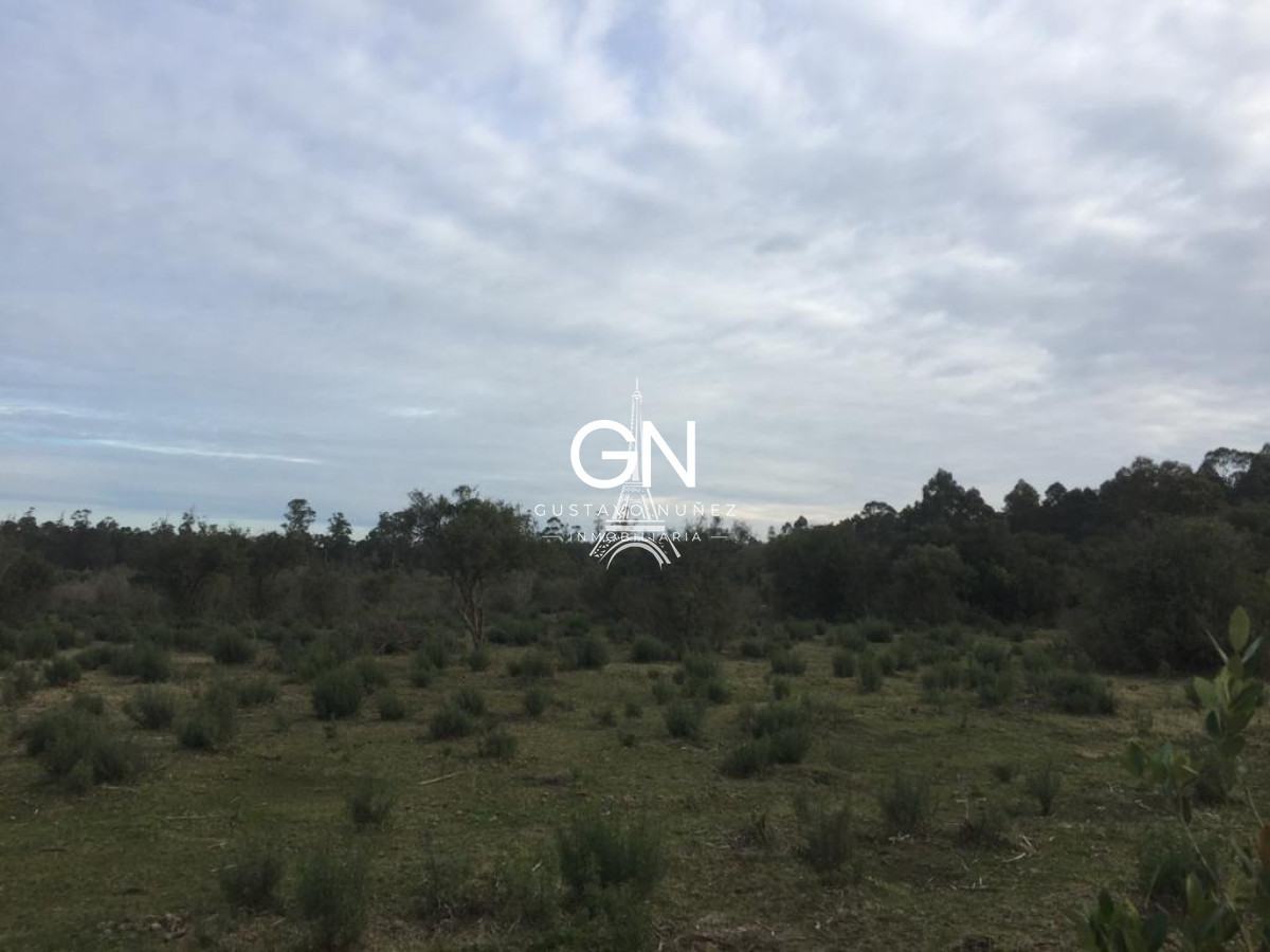 Chacra ID.3564 - Chacra en ruta 73