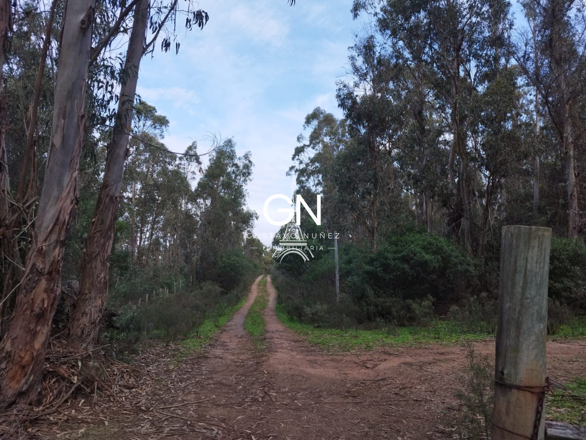 Chacra ID.4332 - Excelente  chacra  