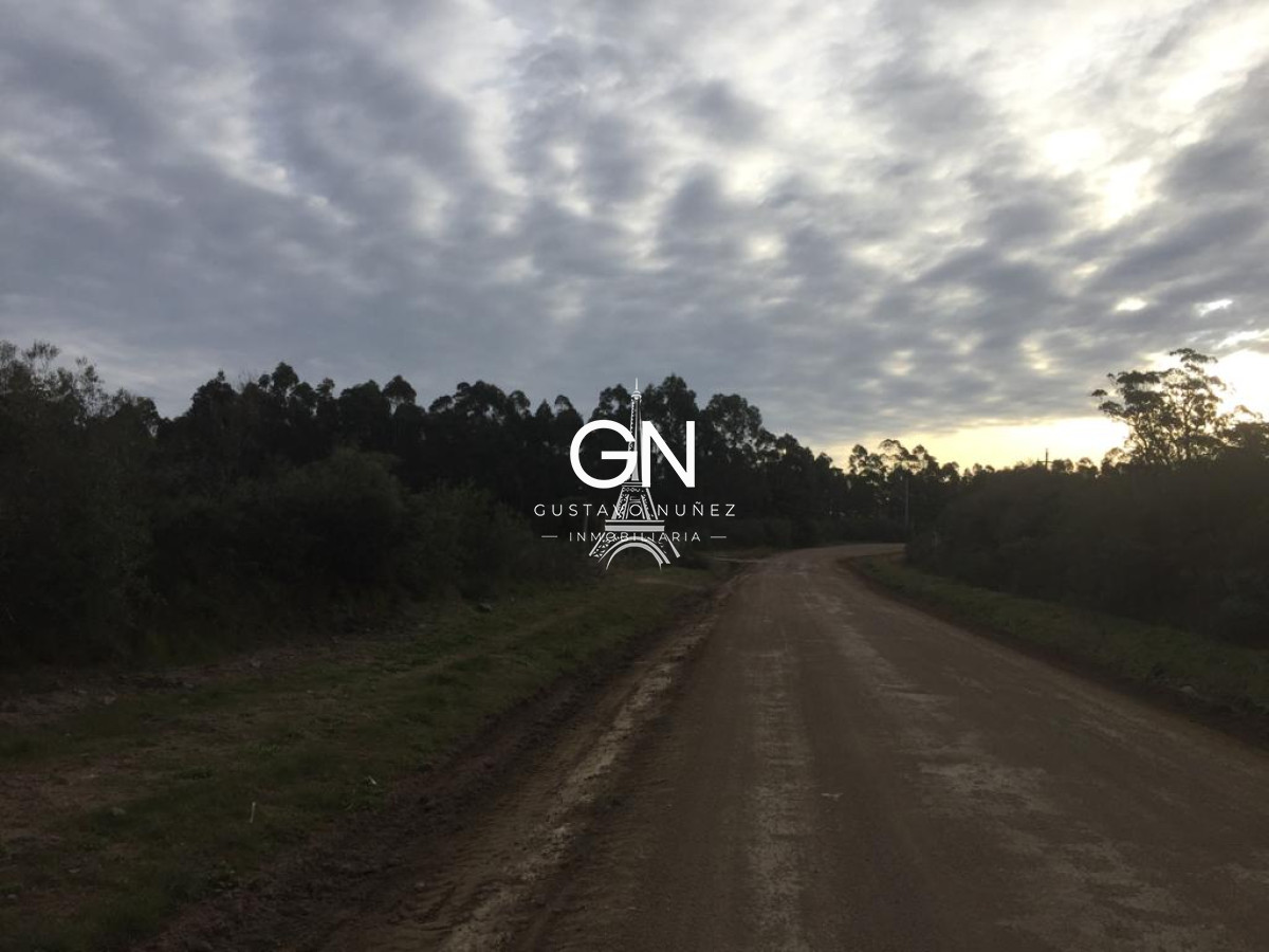 Chacra ID.3564 - Chacra en ruta 73