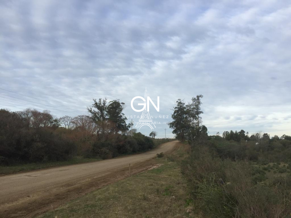 Chacra ID.3564 - Chacra en ruta 73