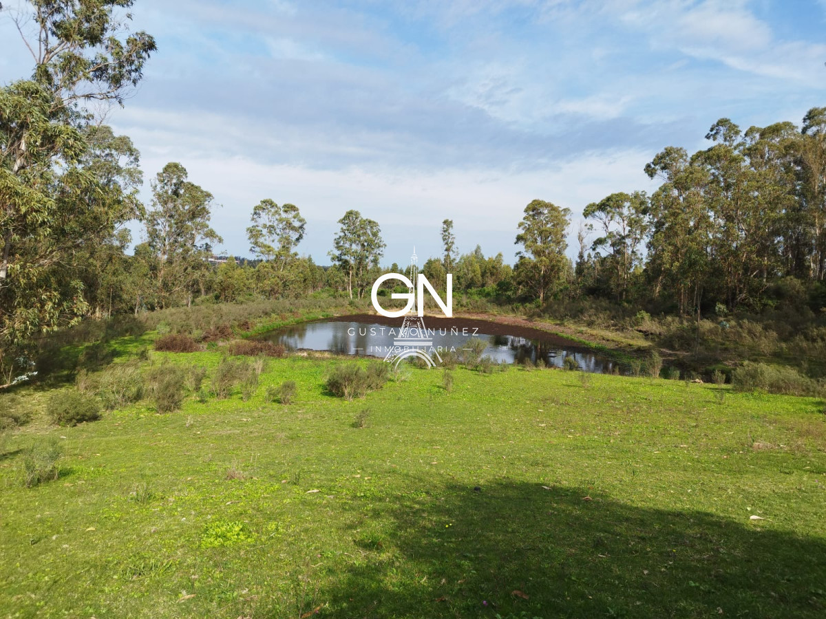 Chacra ID.4332 - Excelente  chacra  