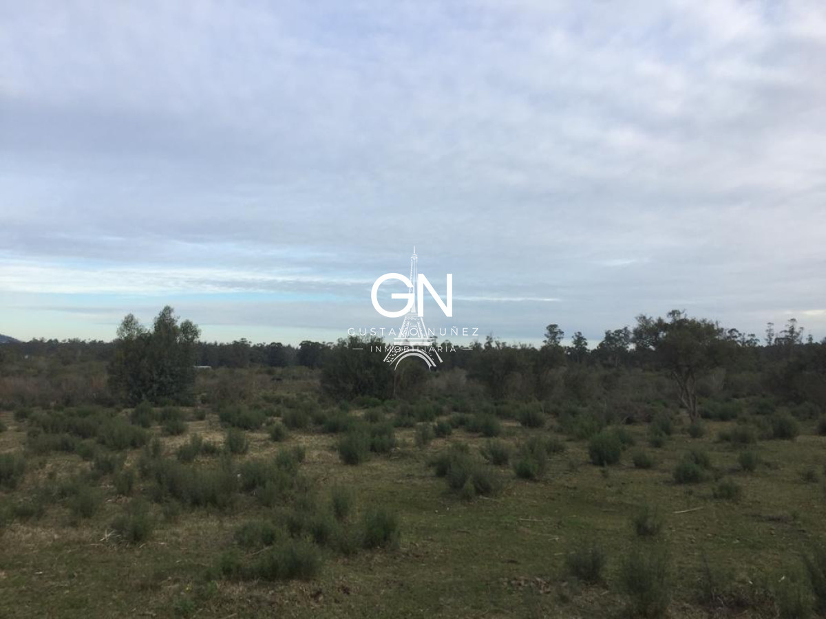 Chacra ID.3564 - Chacra en ruta 73