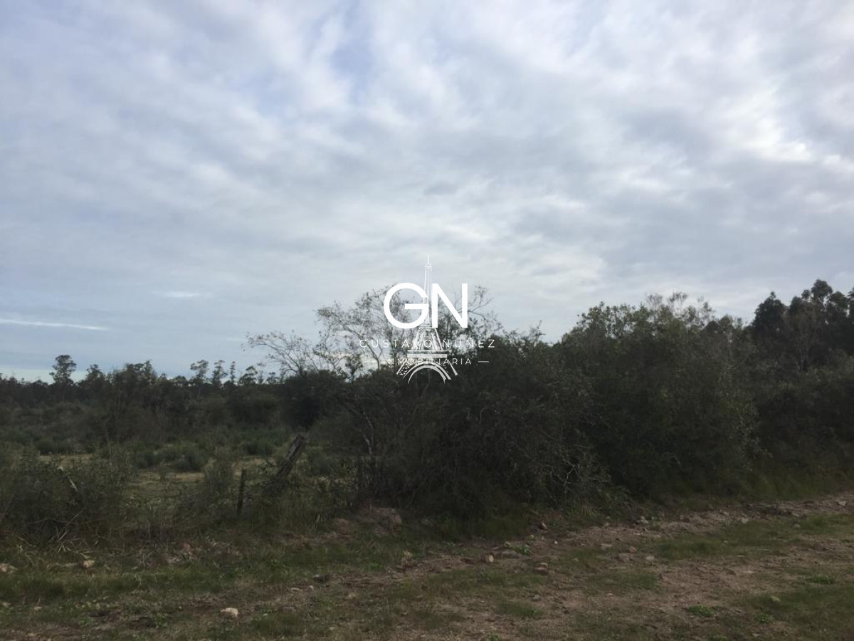 Chacra ID.3564 - Chacra en ruta 73