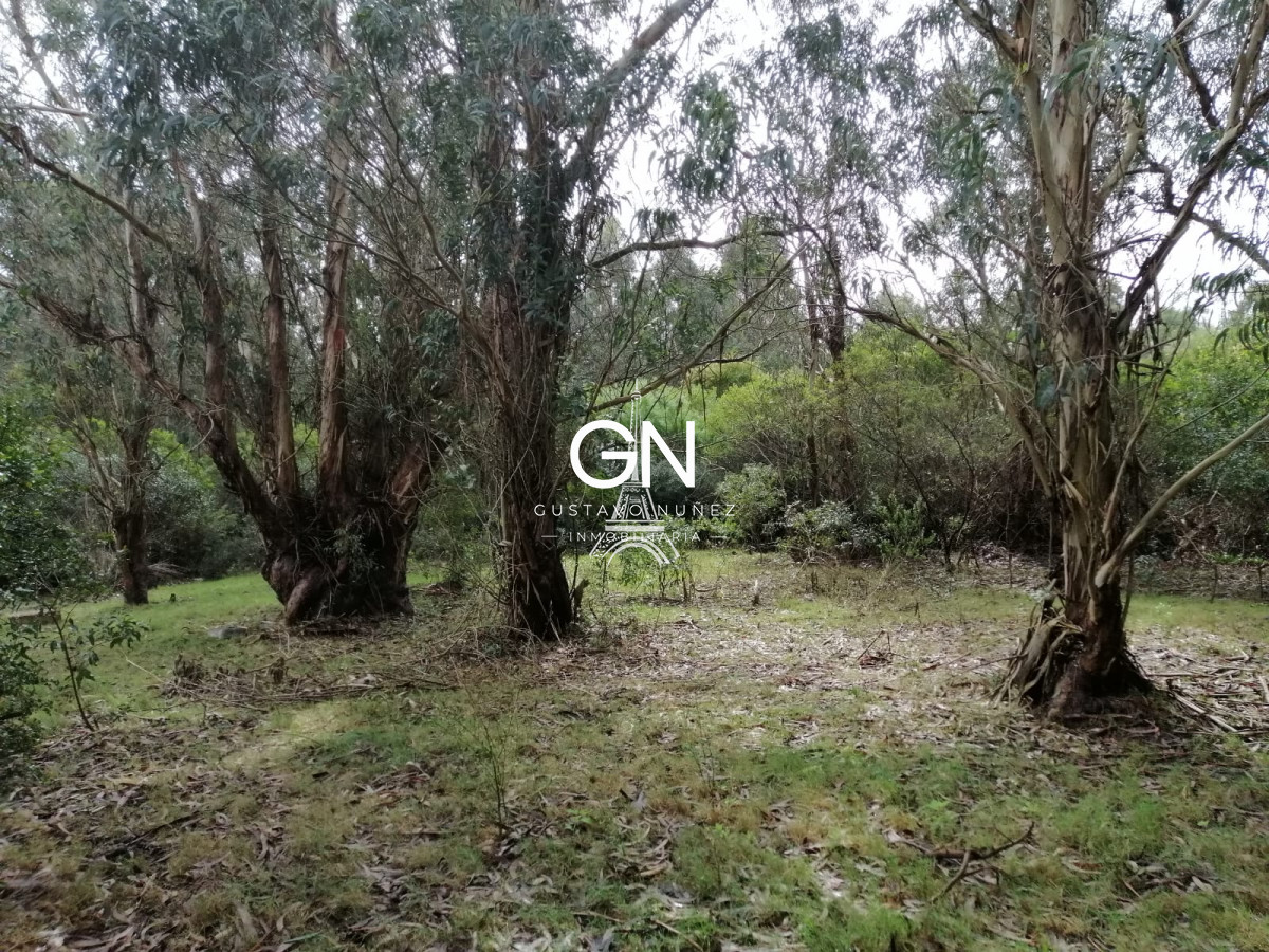 Chacra ID.3888 - Oportunidad de inversion