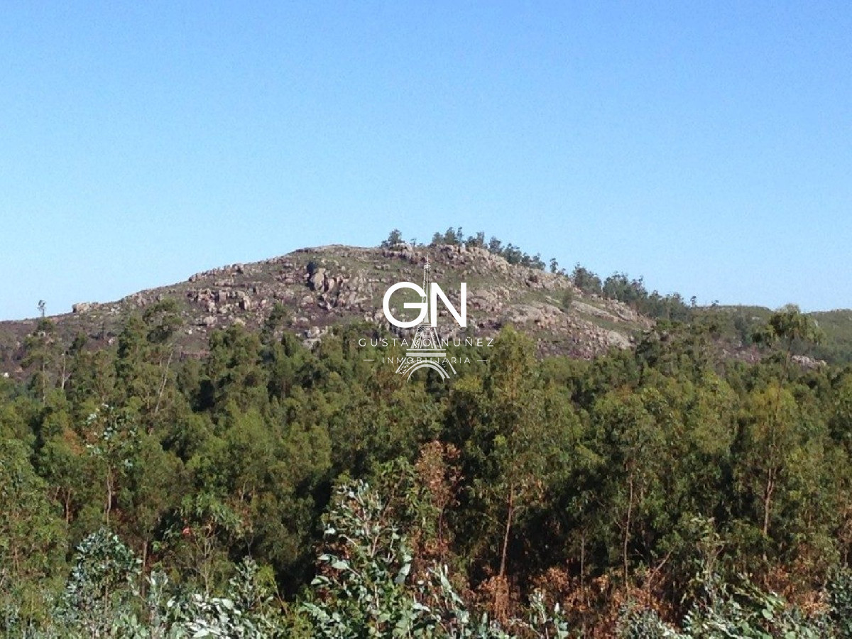 Chacra ID.2623 - Chacra en Piriapolis de 5hás. en Cerro Pan De Azúcar.