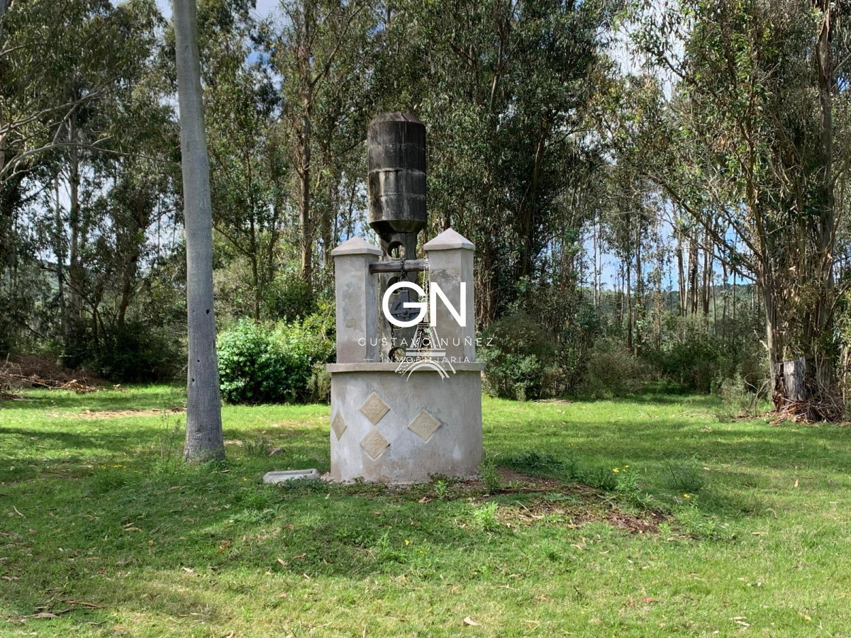 Chacra ID.4680 - Espectacular Casa de Campo 