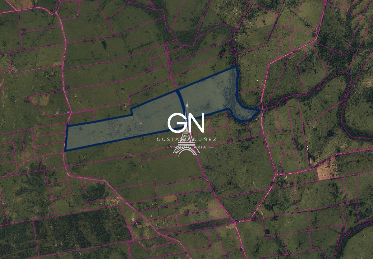 Chacra ID.4437 - Campo en ruta 12