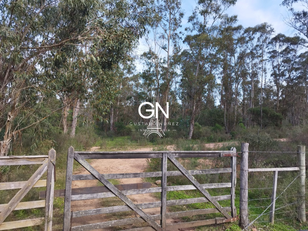 Chacra ID.4332 - Excelente  chacra  