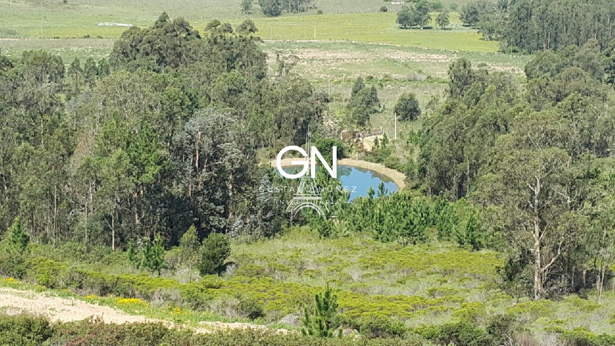 Chacra ID.2488 - Espectacular chacra.