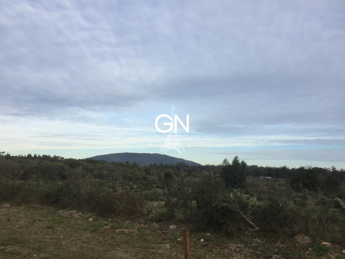 Chacra ID.3564 - Chacra en ruta 73