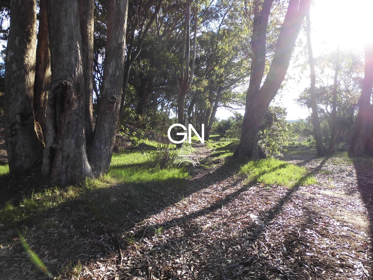 Chacra ID.2979 - Zona chihuahua