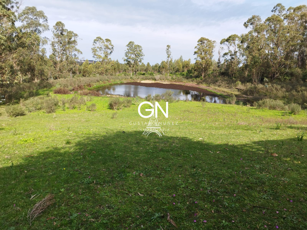 Chacra ID.4332 - Excelente  chacra  