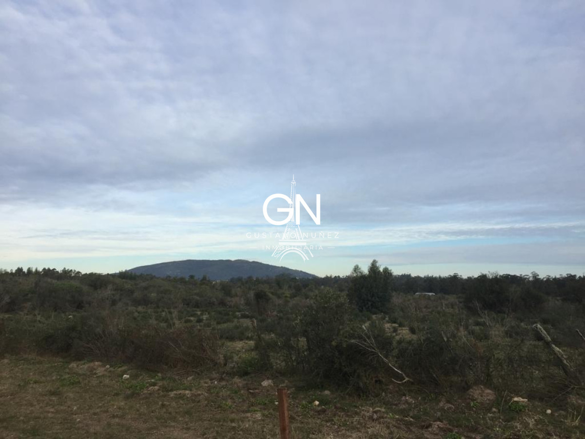 Chacra ID.3564 - Chacra en ruta 73