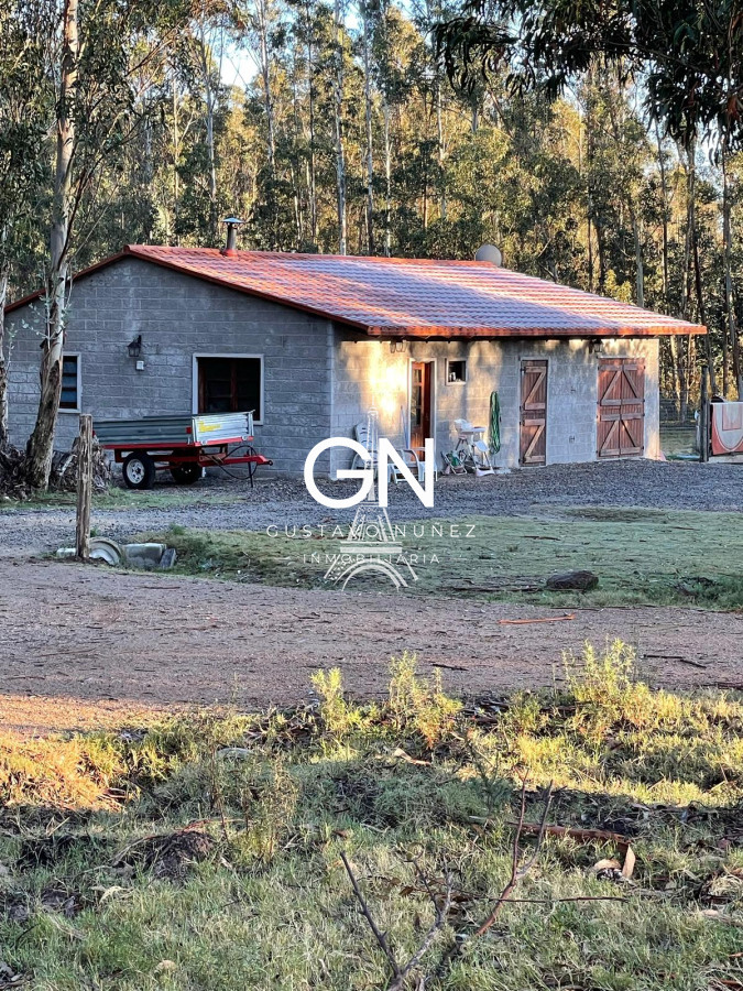 Chacra ID.4680 - Espectacular Casa de Campo 