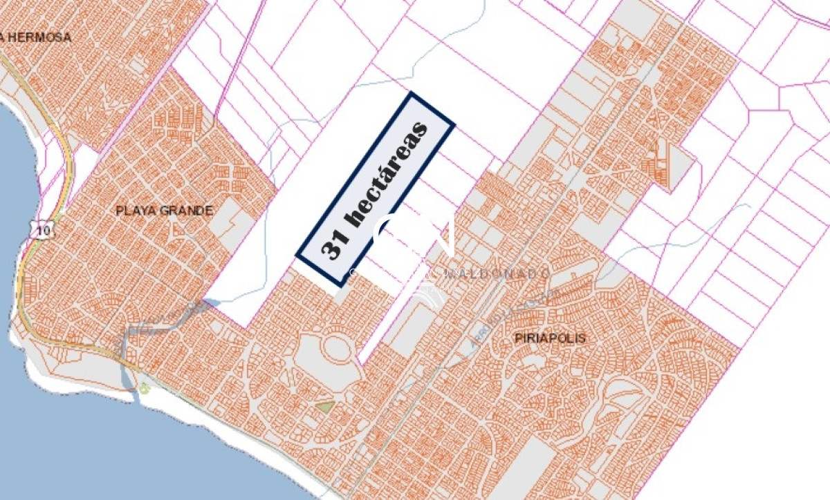 Chacra ID.3888 - Oportunidad de inversion