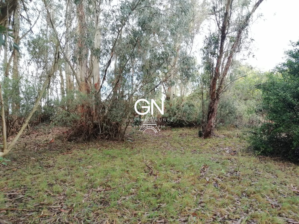 Chacra ID.3888 - Oportunidad de inversion