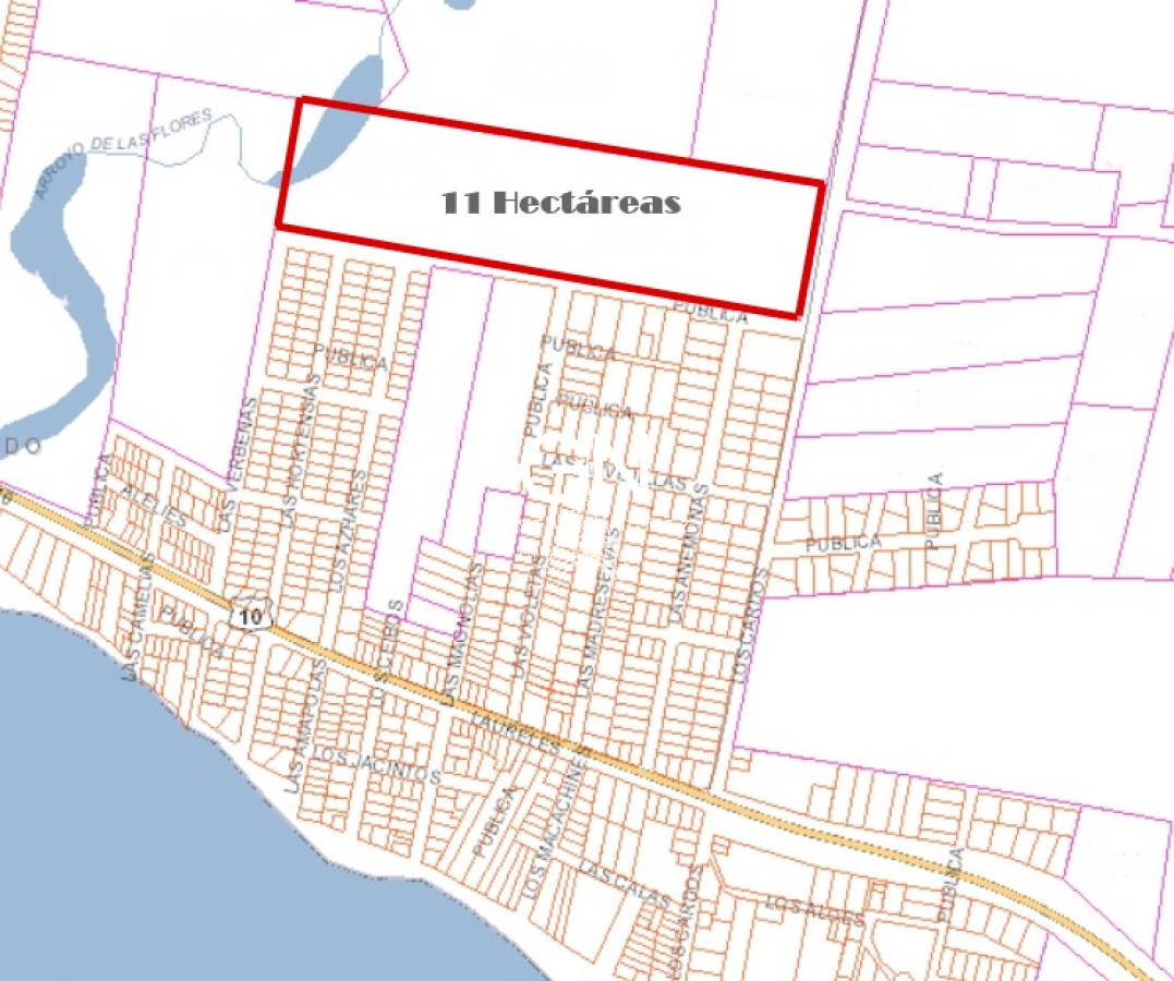 Chacra ID.3897 - 