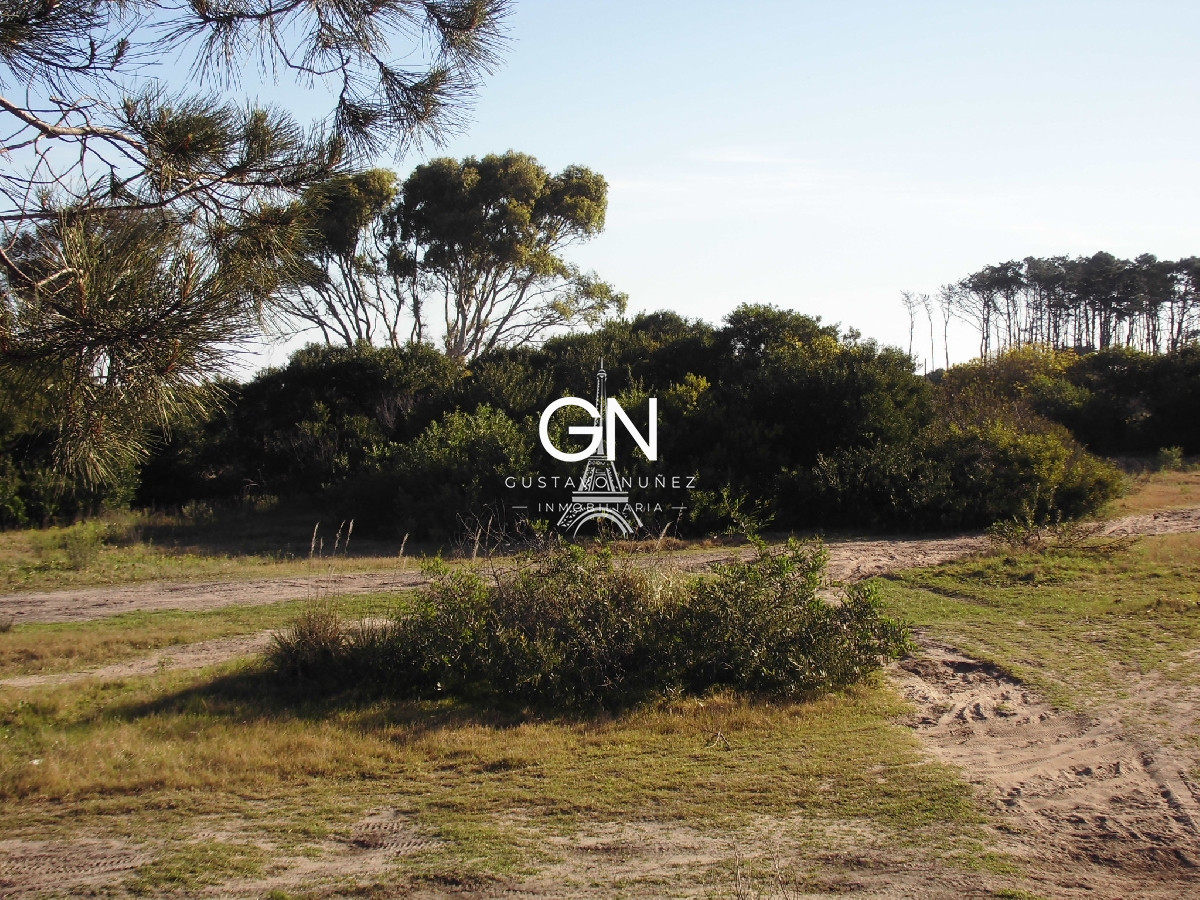 Chacra ID.2979 - Zona chihuahua