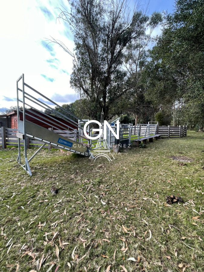 Chacra ID.4680 - Espectacular Casa de Campo 