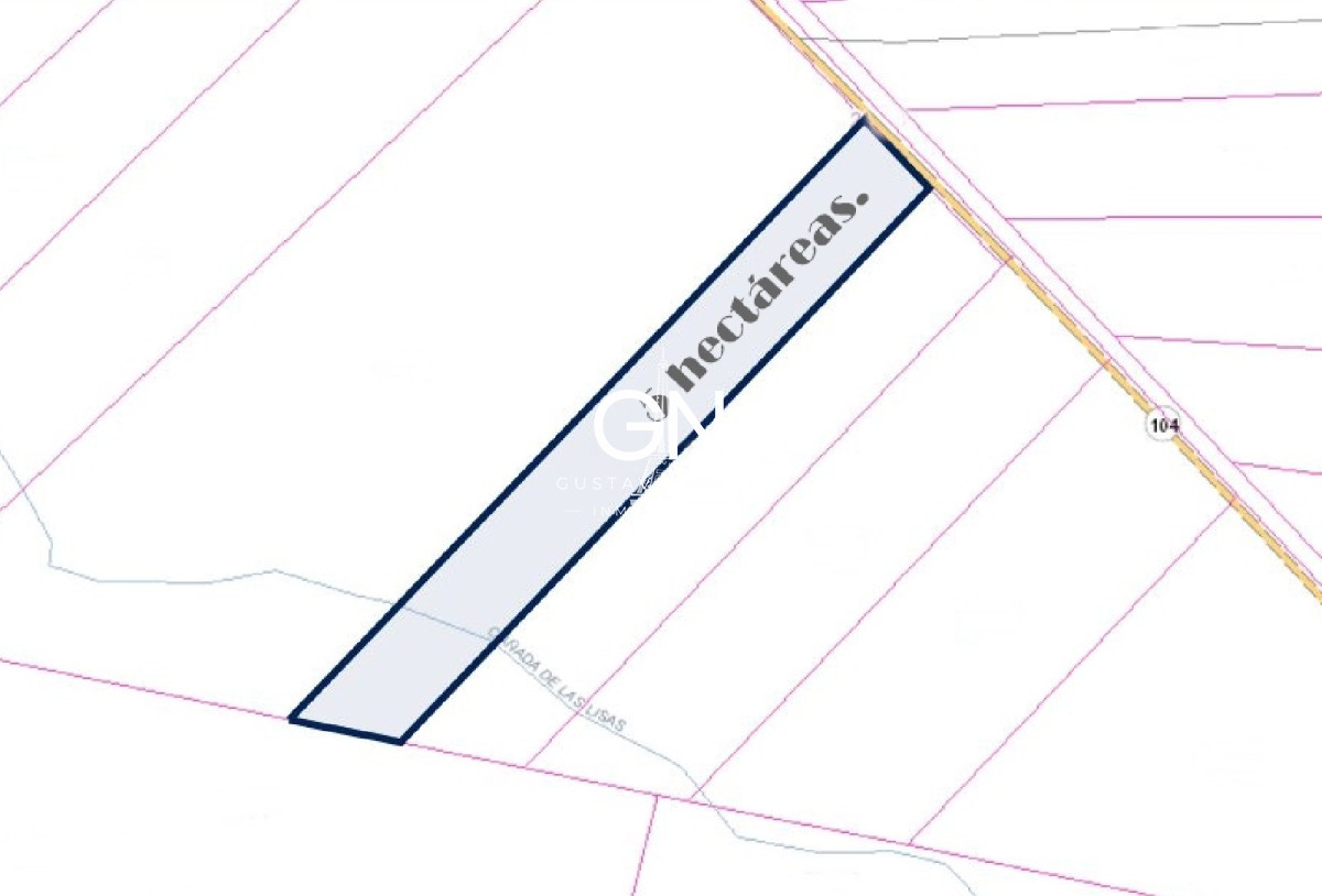 Chacra ID.2794 - Hectáreas sobre ruta 104