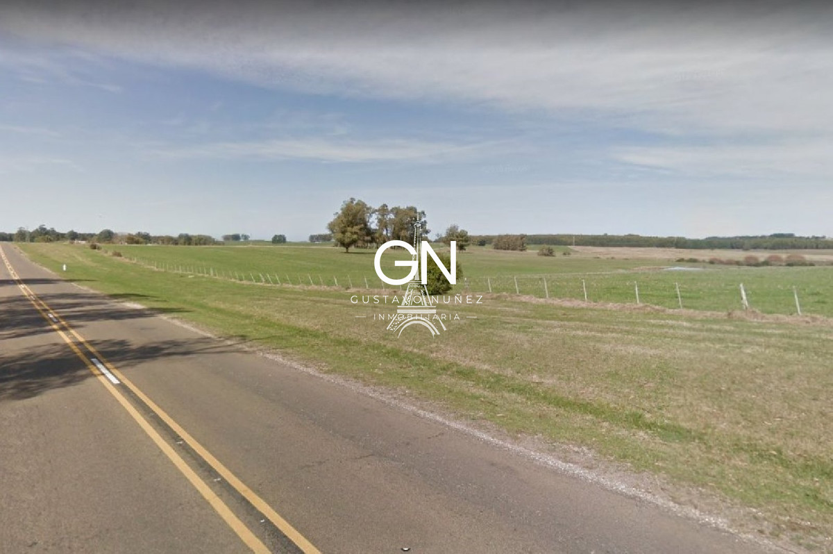 Chacra ID.2794 - Hectáreas sobre ruta 104