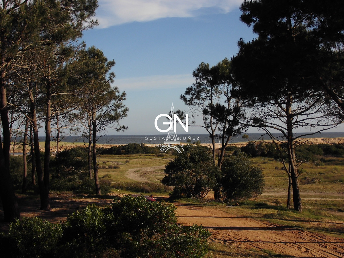 Chacra ID.2979 - Zona chihuahua