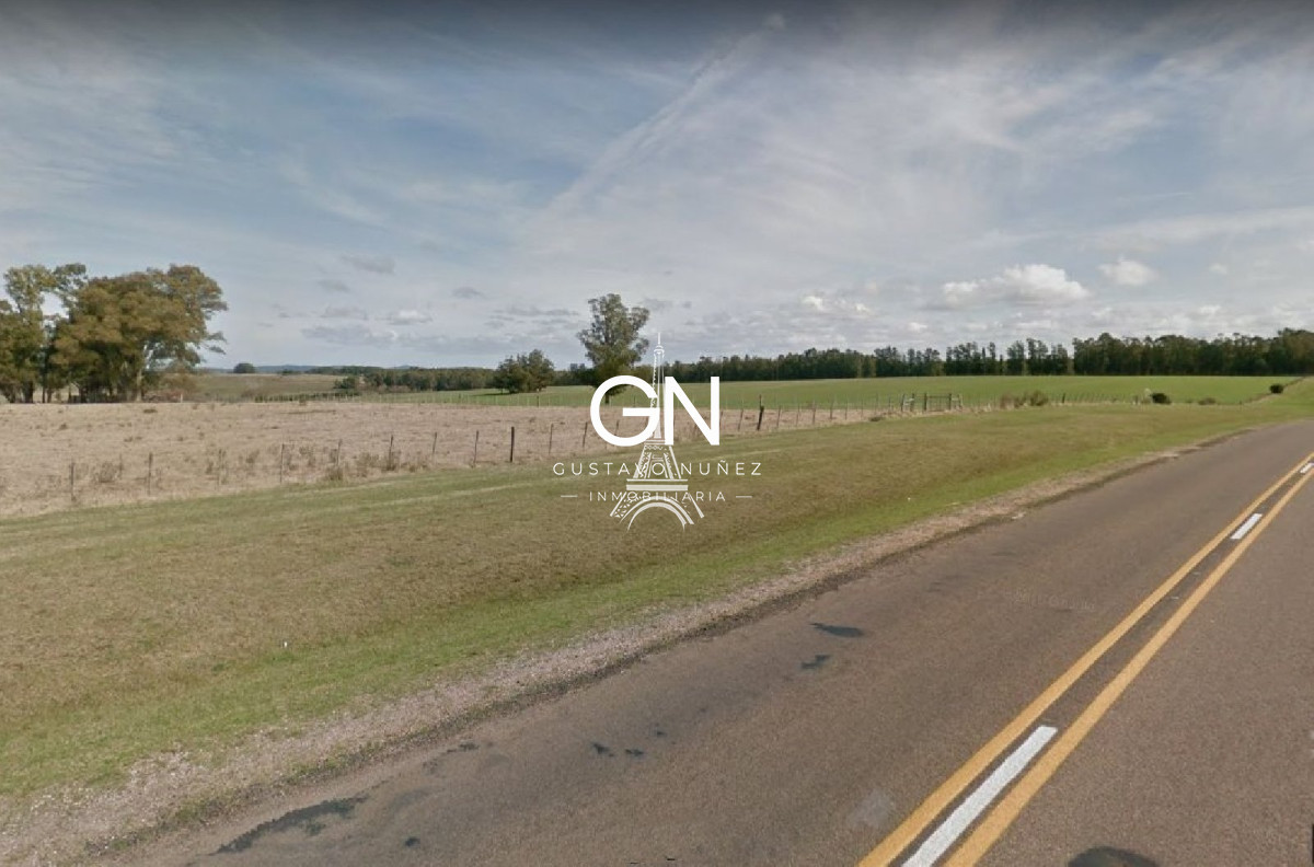 Chacra ID.2794 - Hectáreas sobre ruta 104