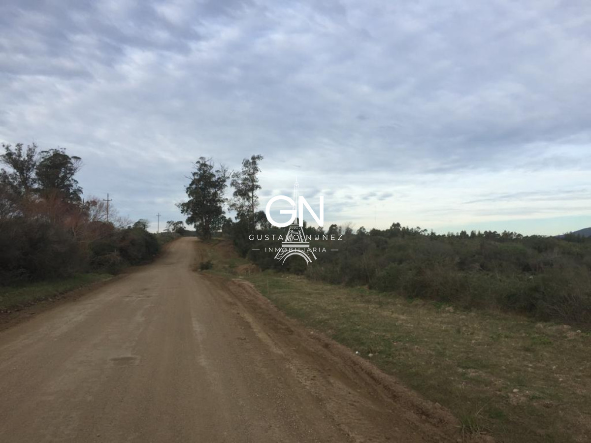 Chacra ID.3564 - Chacra en ruta 73