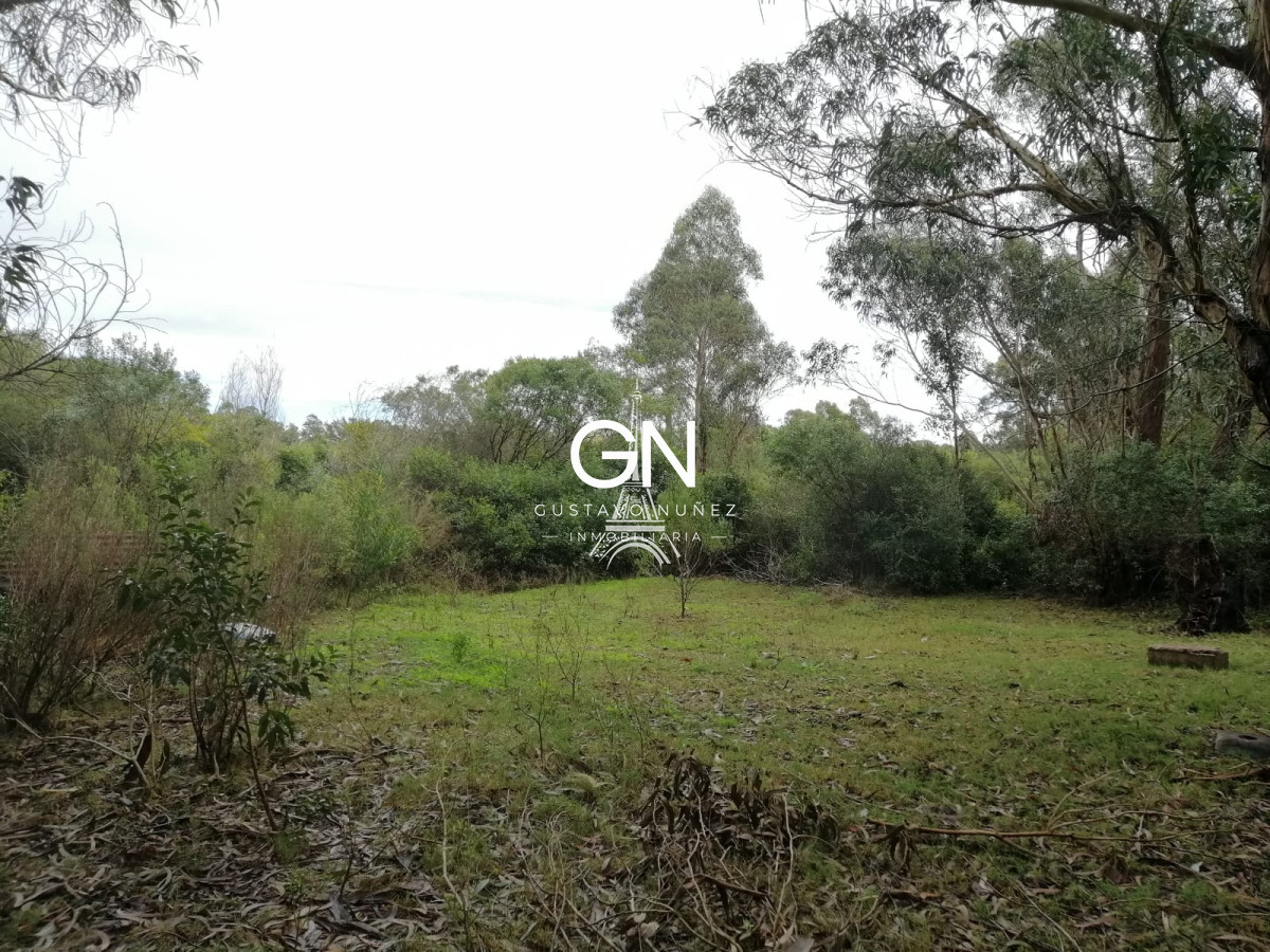 Chacra ID.3888 - Oportunidad de inversion