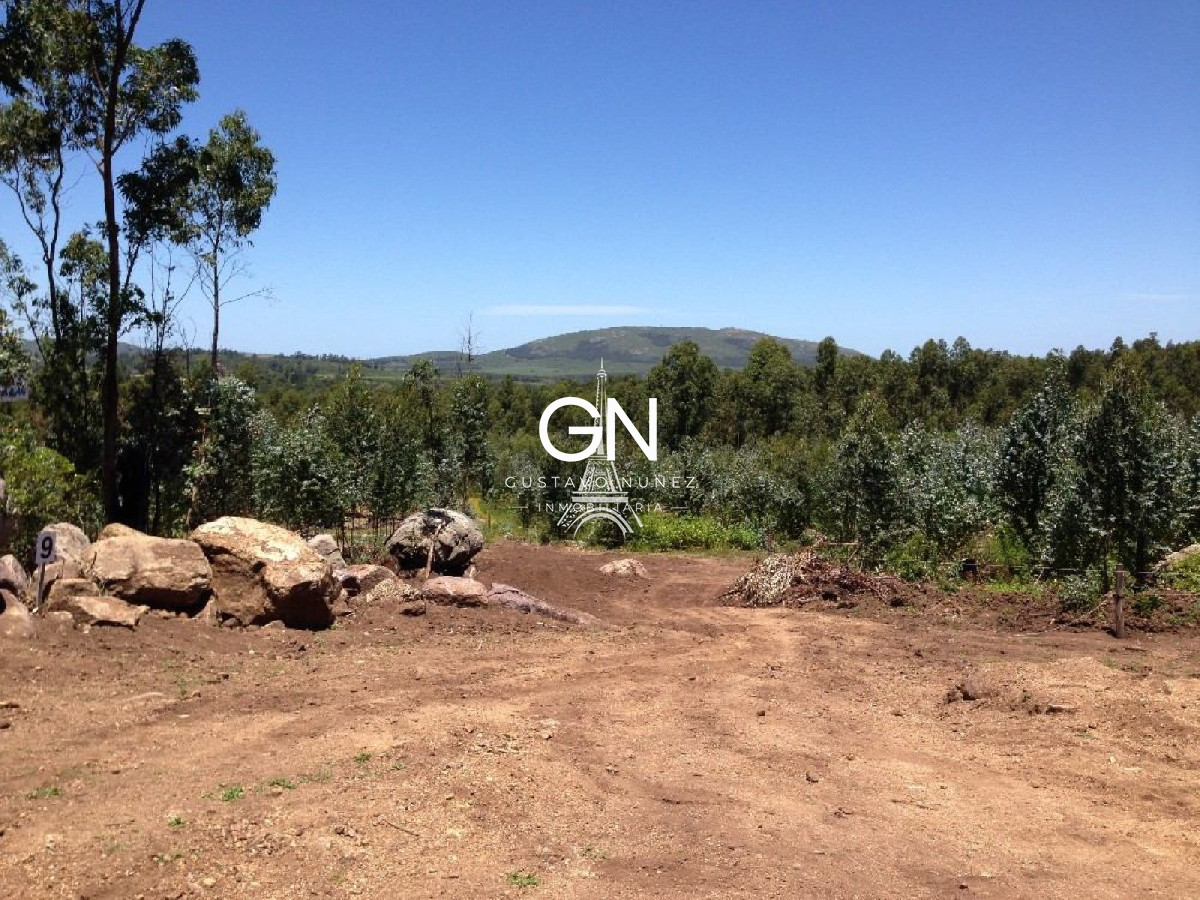 Chacra ID.2623 - Chacra en Piriapolis de 5hás. en Cerro Pan De Azúcar.