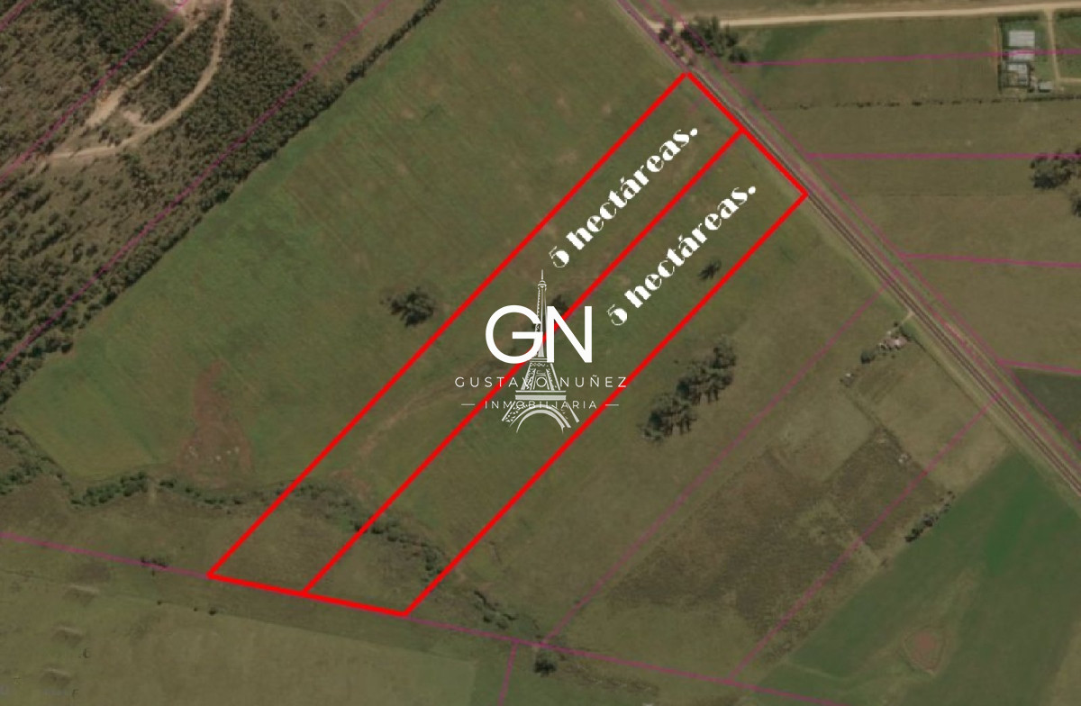 Chacra ID.2794 - Hectáreas sobre ruta 104