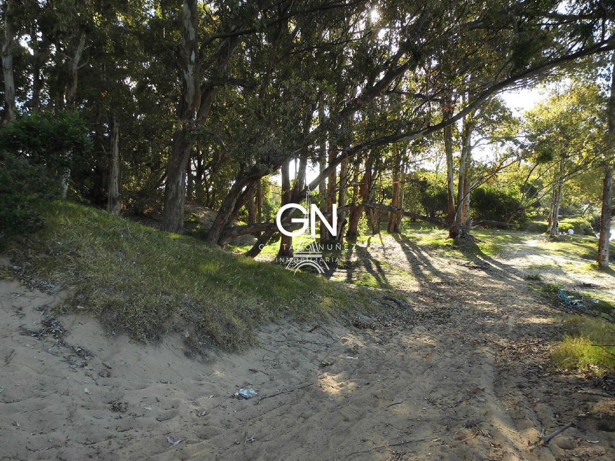 Chacra ID.2979 - Zona chihuahua