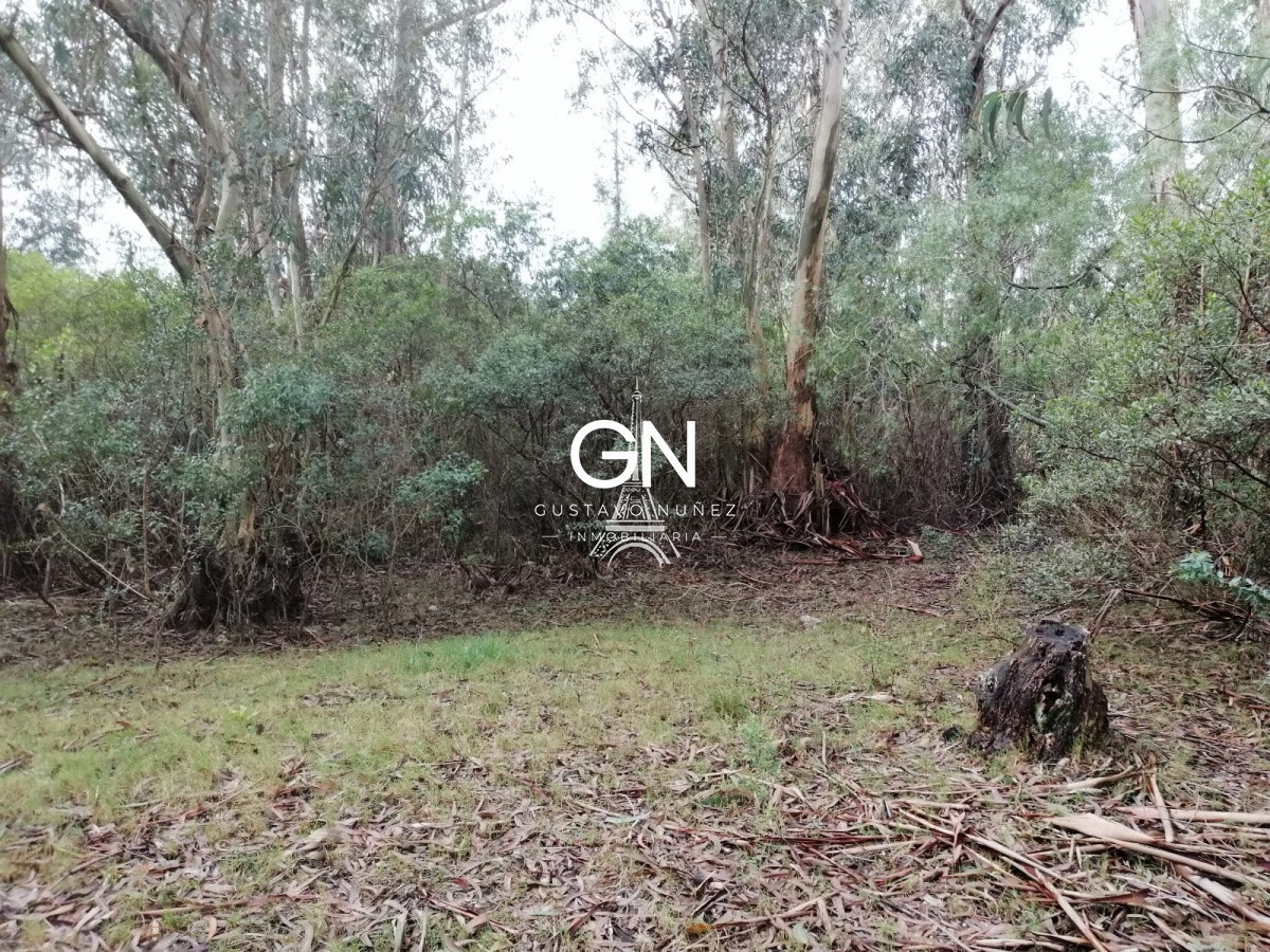 Chacra ID.3888 - Oportunidad de inversion