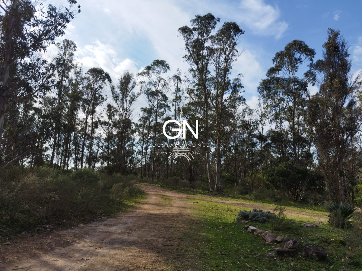 Chacra ID.4332 - Excelente  chacra  