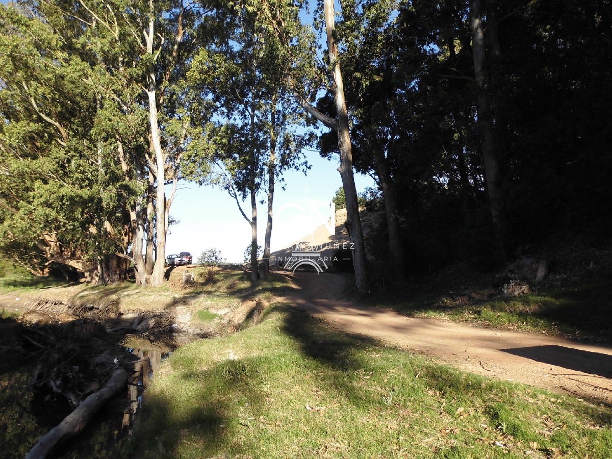 Chacra ID.2979 - Zona chihuahua