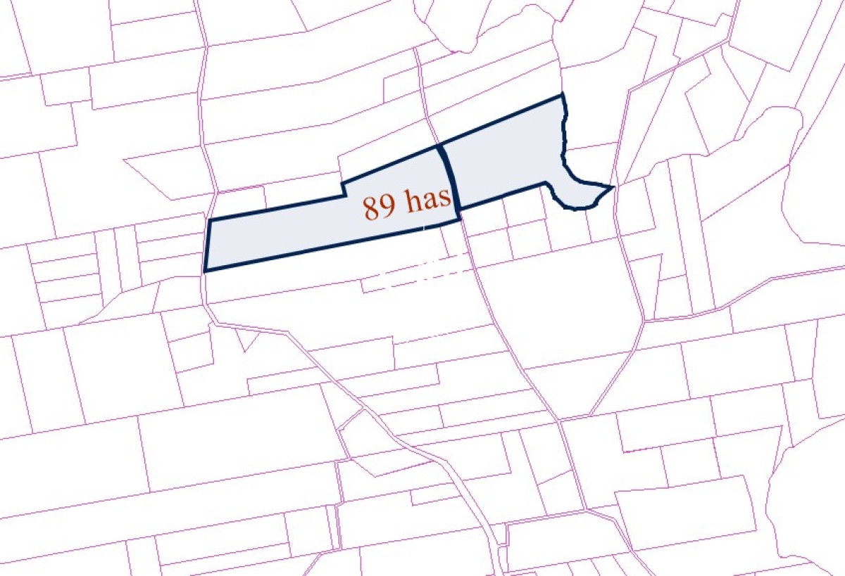 Chacra ID.4437 - Campo en ruta 12