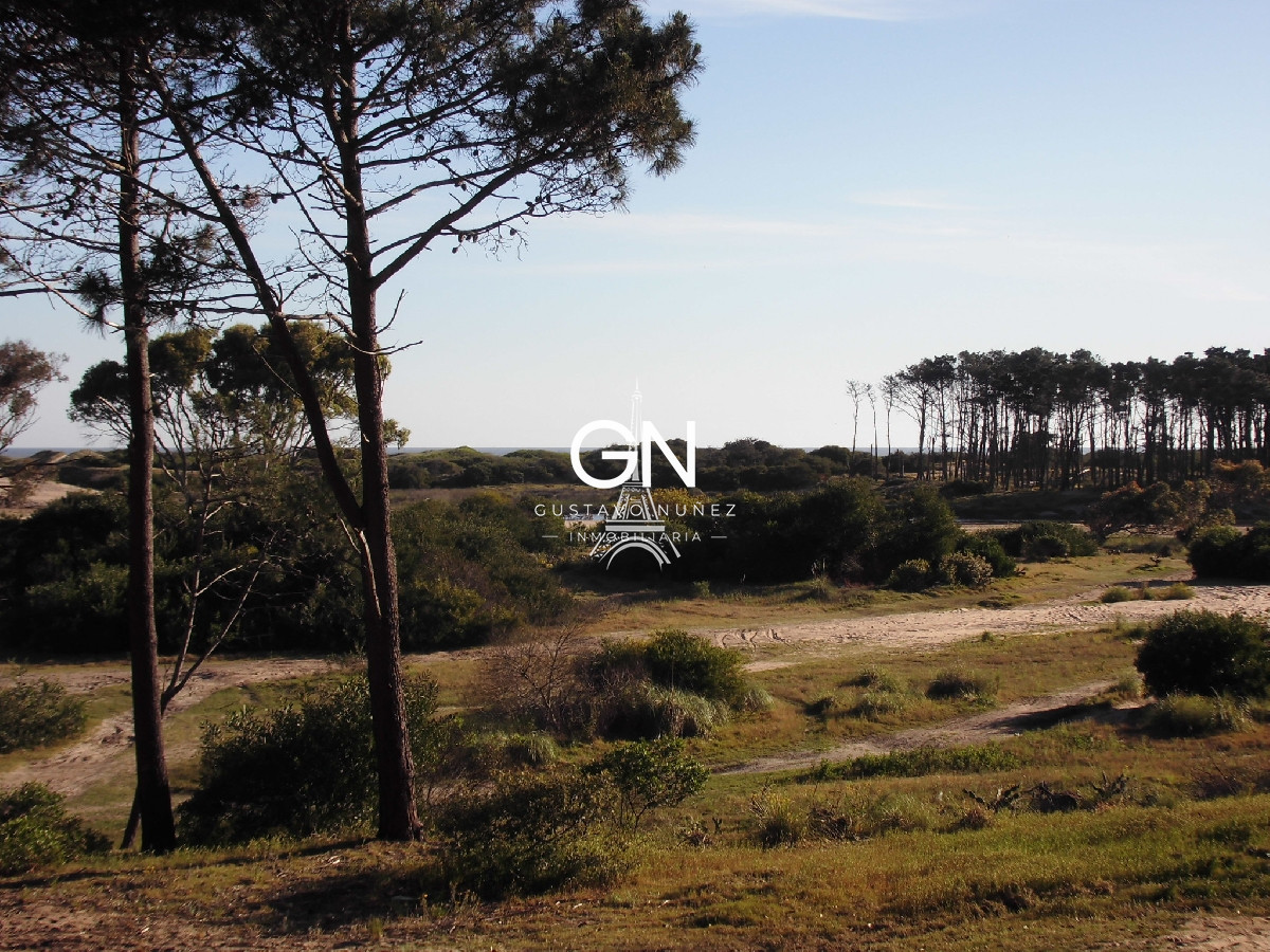 Chacra ID.2979 - Zona chihuahua