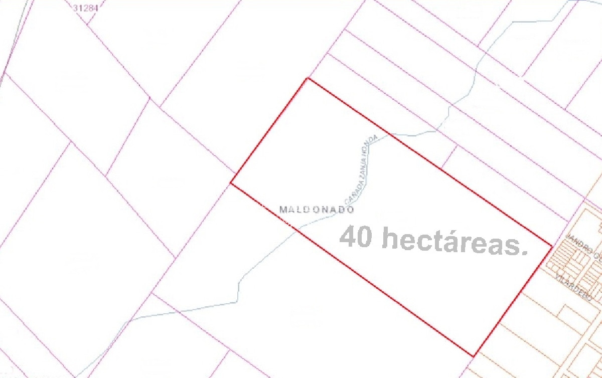Chacra ID.2503 - 40 hectáreas con casa.