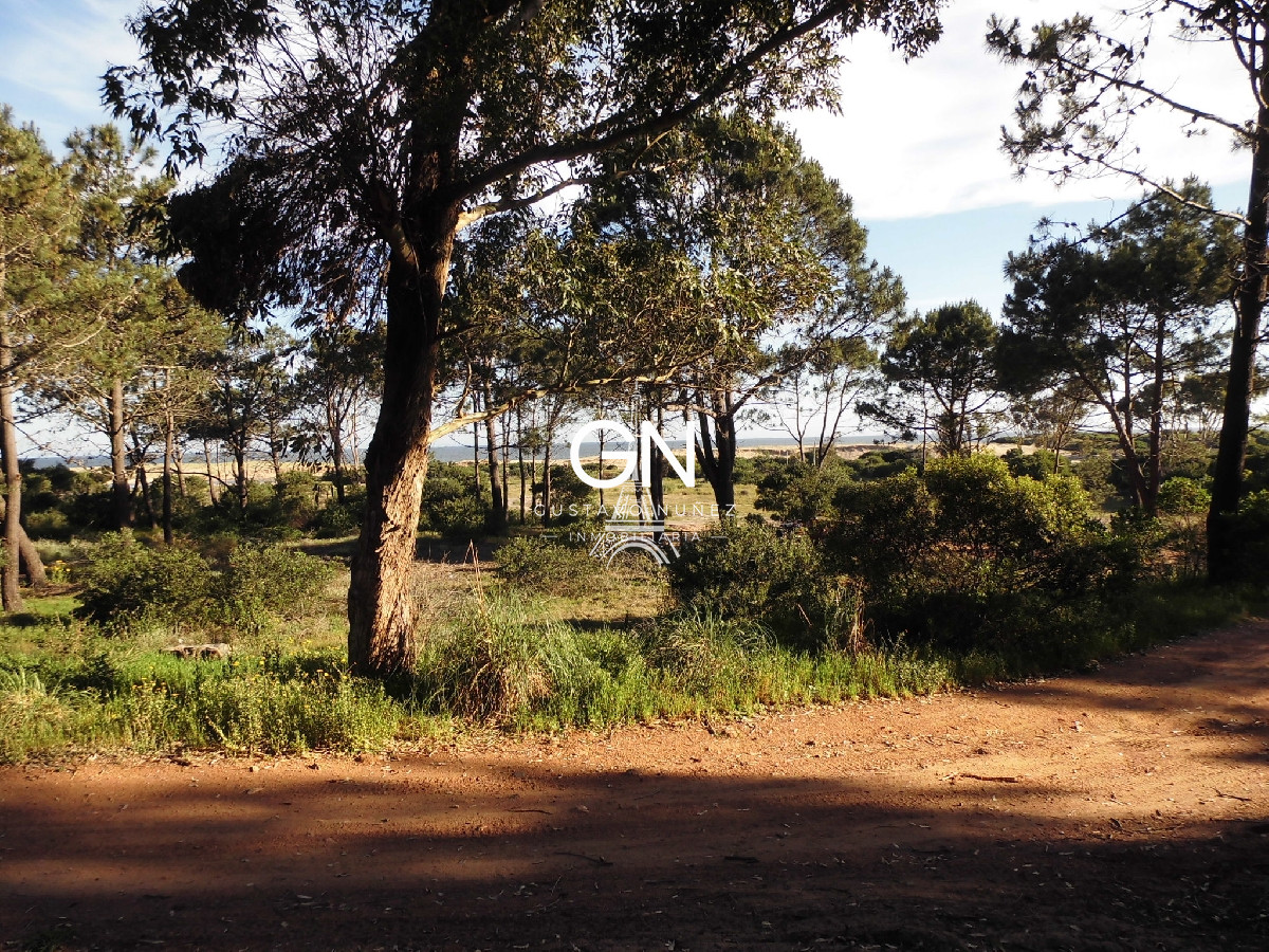 Chacra ID.2979 - Zona chihuahua